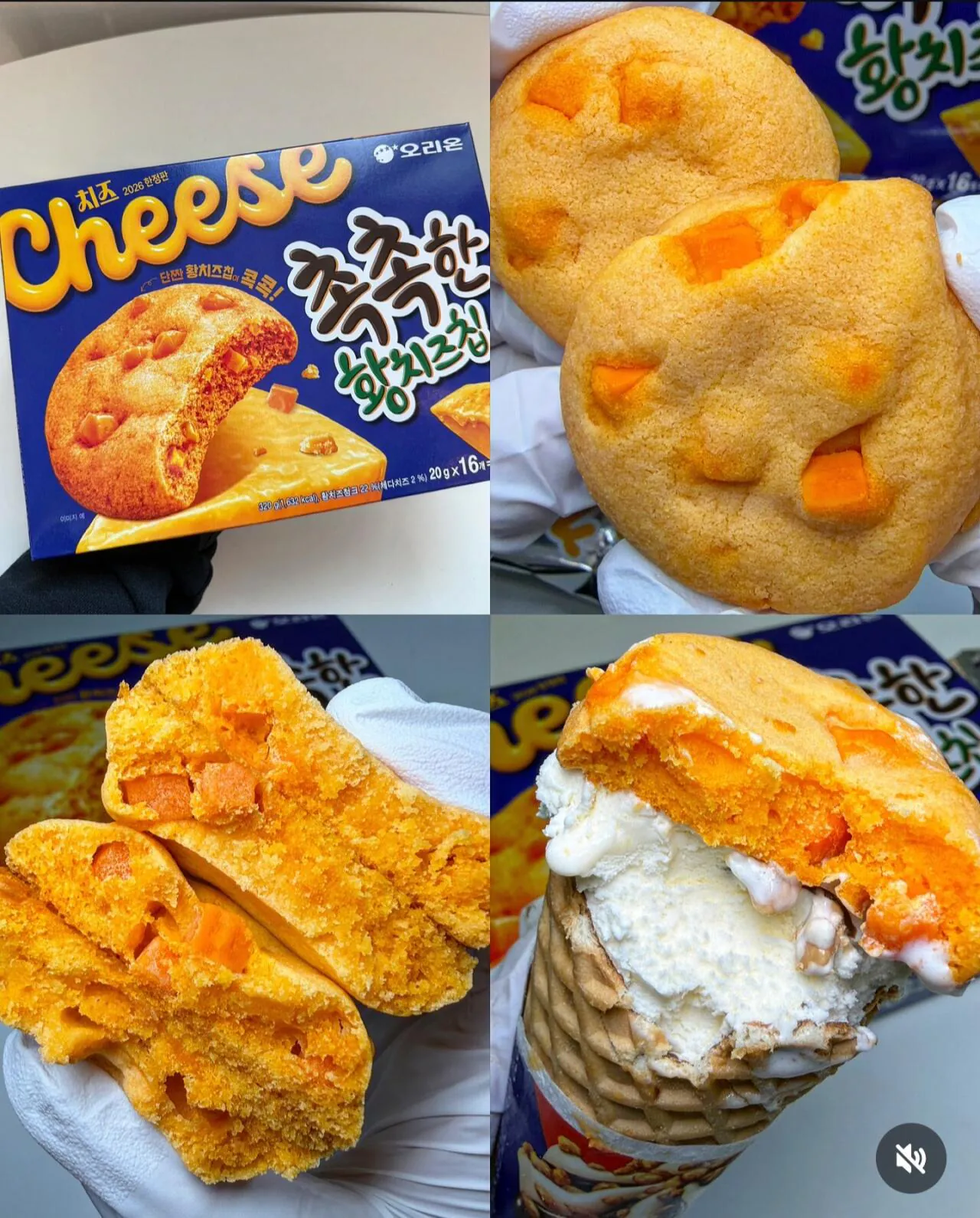 촉촉한황치즈칩 실물