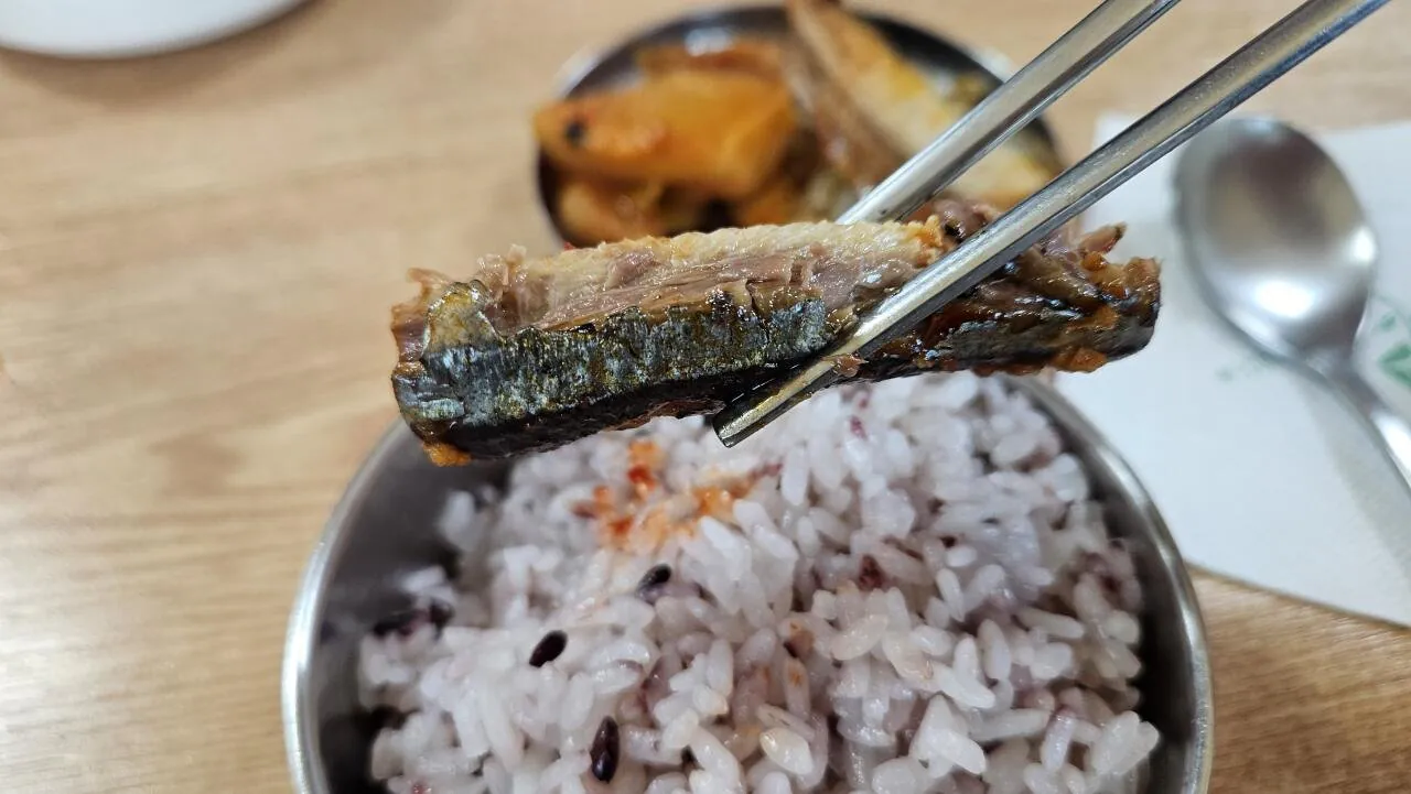 점심 두부찌개