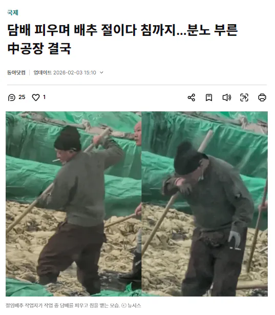 담배 꼬나물고 김장하기