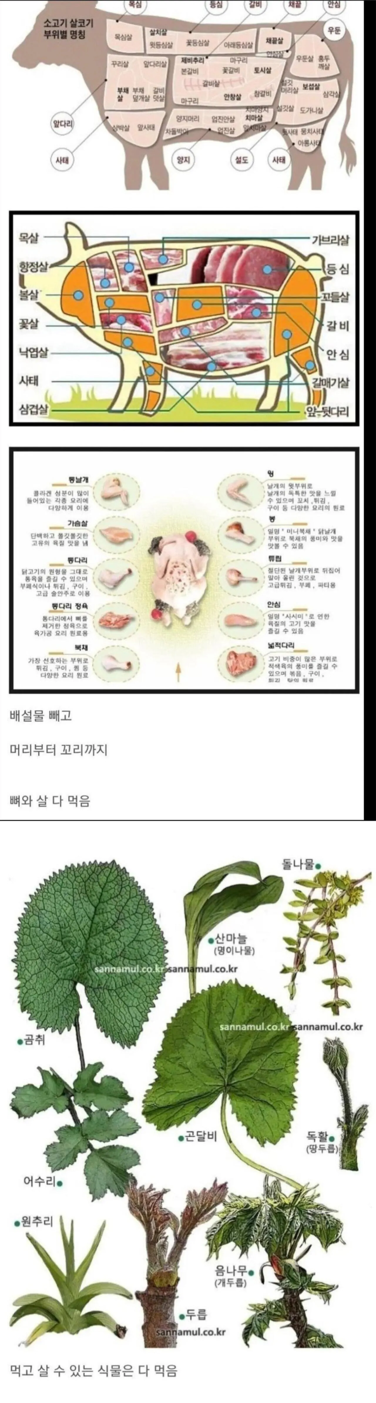 뭐든지 잘 먹는 한국인들